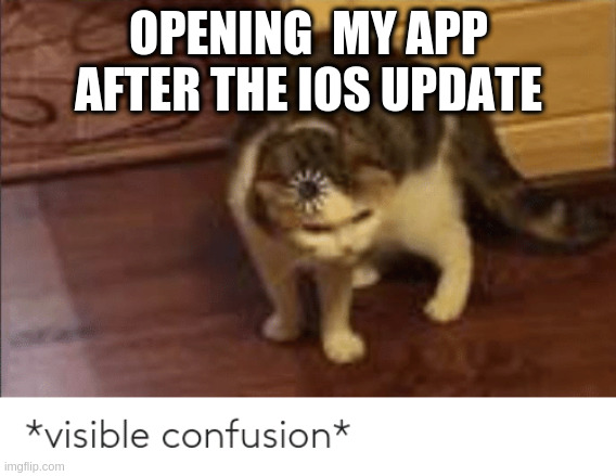 MEME: Opening my app after the iOS update, visible confusion